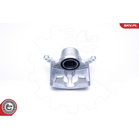 42SKV201 - Brake Caliper 