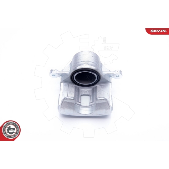 34SKV362 - Brake Caliper 