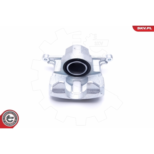 46SKV242 - Brake Caliper 