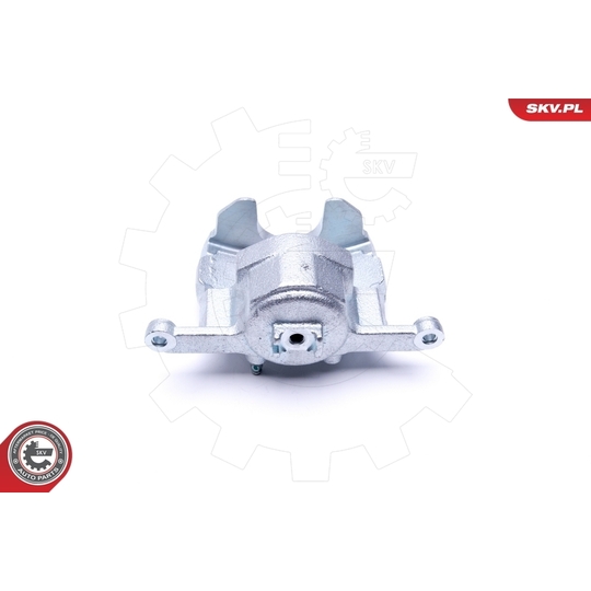 46SKV242 - Brake Caliper 