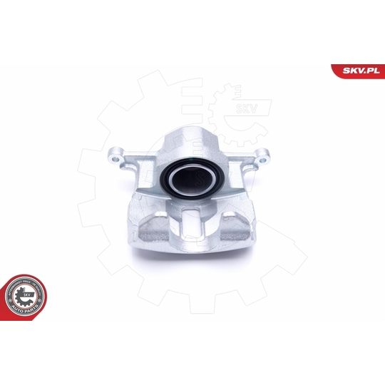 46SKV241 - Brake Caliper 