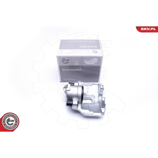 45SKV101 - Brake Caliper 