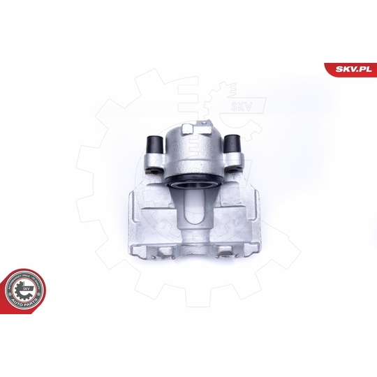 45SKV101 - Brake Caliper 