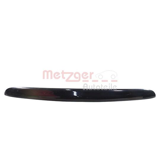 2310769 - Tailgate Handle 