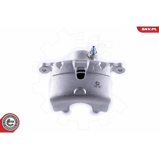 55SKV271 - Brake Caliper 