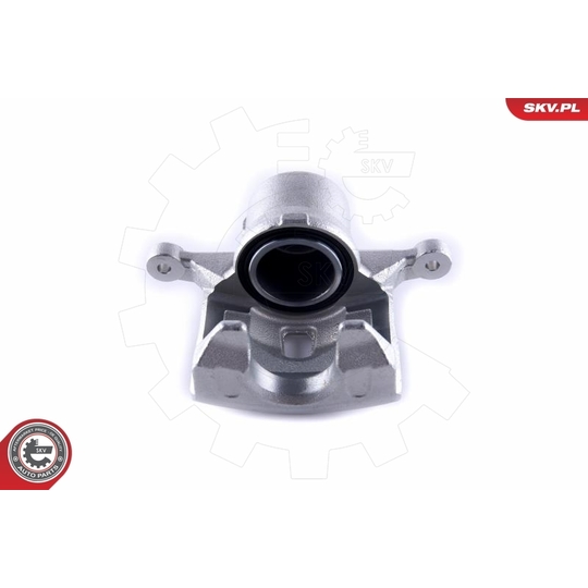 55SKV271 - Brake Caliper 