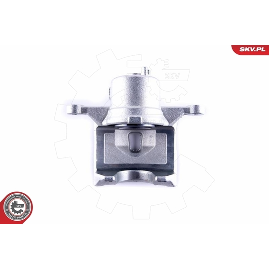 55SKV271 - Brake Caliper 