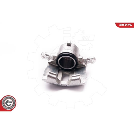 23SKV491 - Brake Caliper 