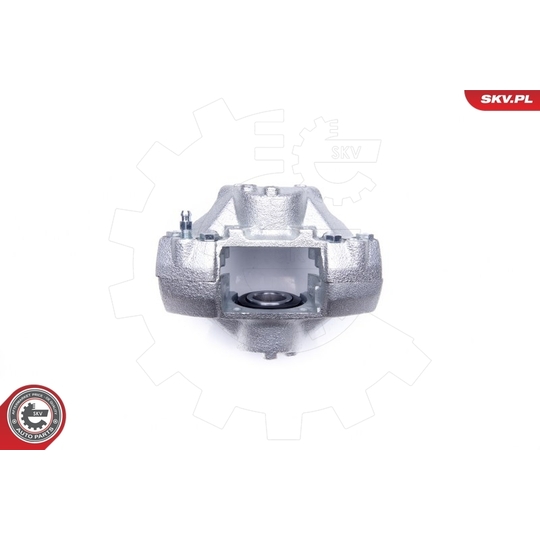 42SKV013 - Brake Caliper 