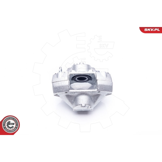 42SKV013 - Brake Caliper 