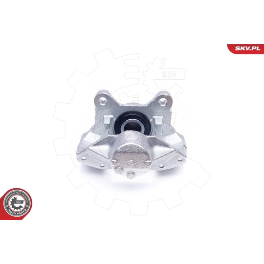 42SKV013 - Brake Caliper 