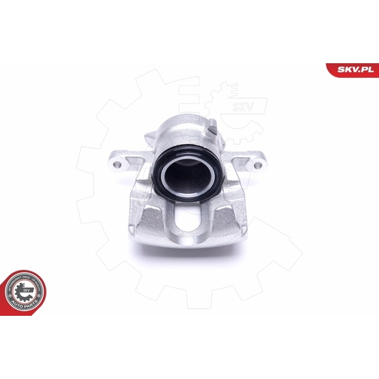 50SKV491 - Brake Caliper 