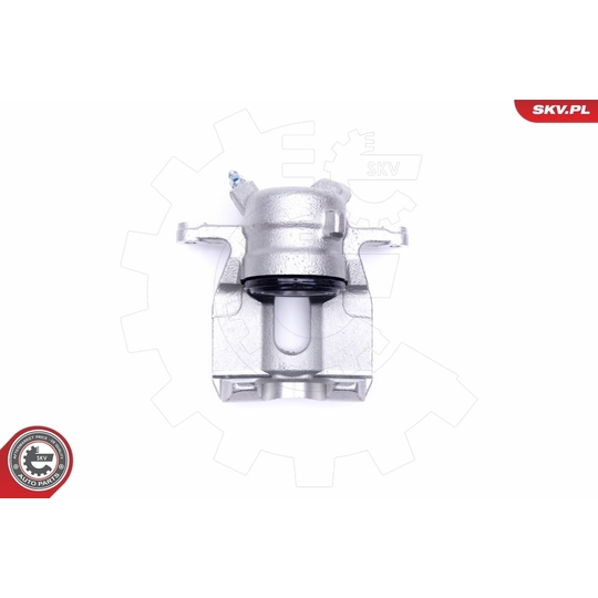 50SKV491 - Brake Caliper 