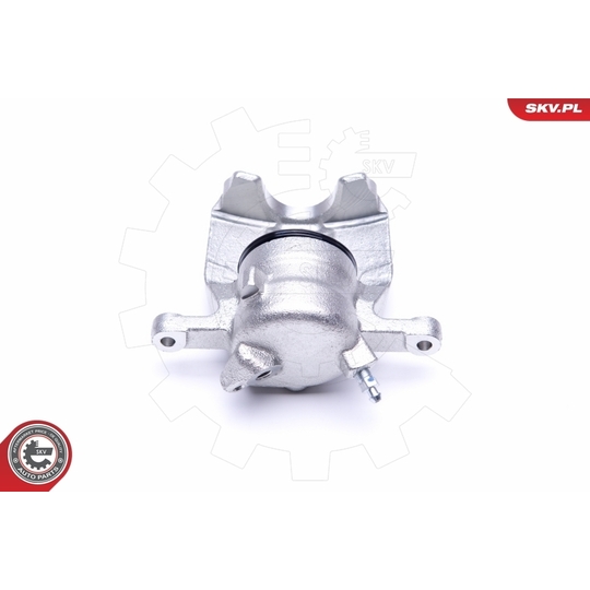 50SKV491 - Brake Caliper 