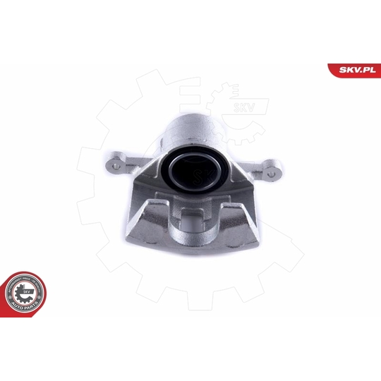 55SKV111 - Brake Caliper 