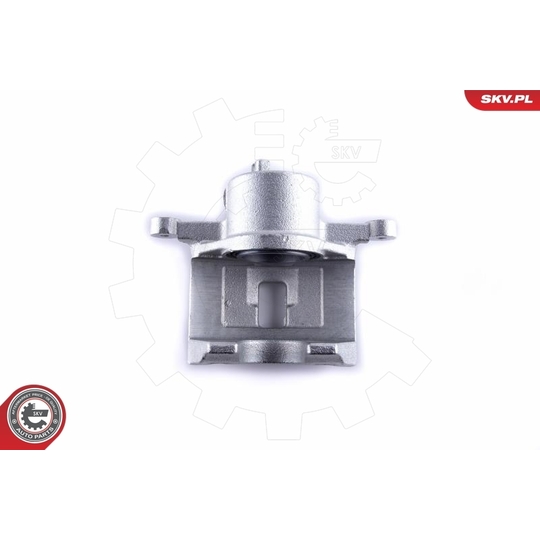 55SKV111 - Brake Caliper 