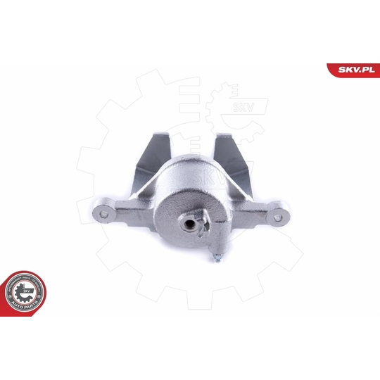 55SKV111 - Brake Caliper 