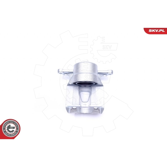 45SKV412 - Brake Caliper 