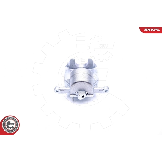 45SKV412 - Brake Caliper 