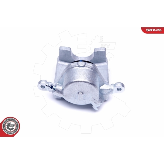 50SKV501 - Brake Caliper 