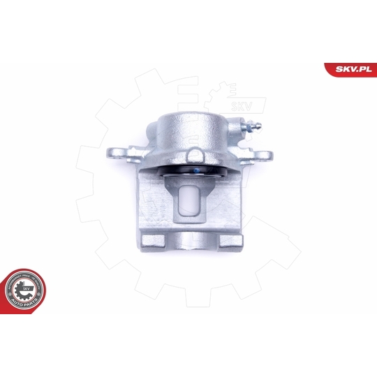 50SKV501 - Brake Caliper 