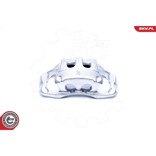 44SKV311 - Brake Caliper 