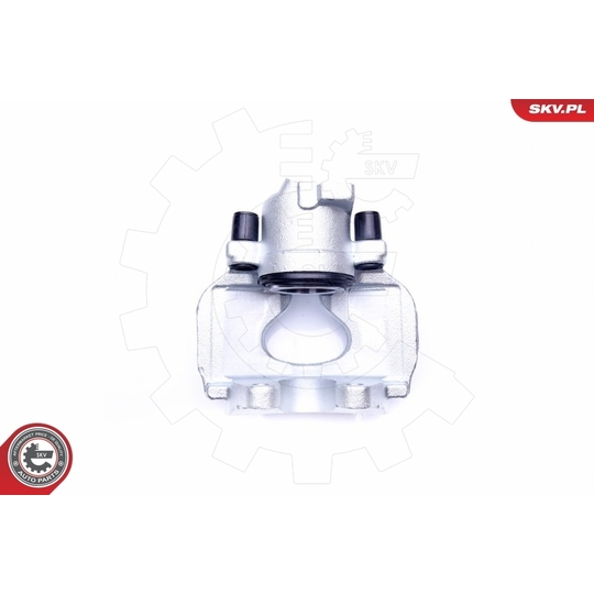 45SKV312 - Brake Caliper 