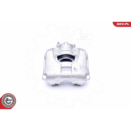 45SKV032 - Brake Caliper 