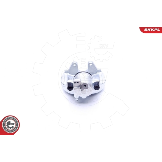 45SKV312 - Brake Caliper 