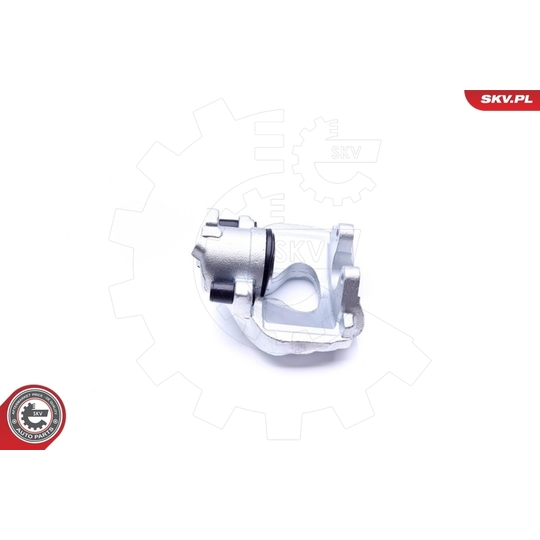 45SKV312 - Brake Caliper 