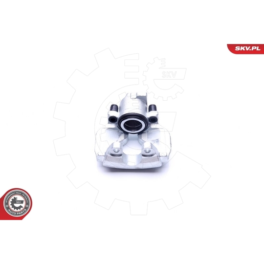 45SKV312 - Brake Caliper 