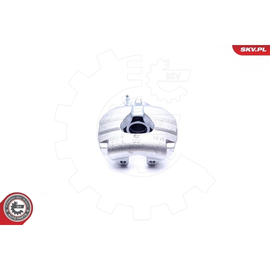 45SKV312 - Brake Caliper 