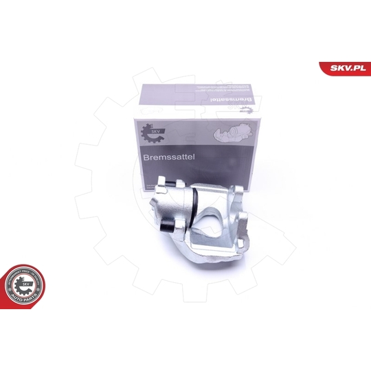 45SKV312 - Brake Caliper 