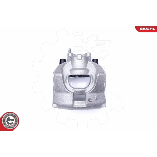 45SKV032 - Brake Caliper 