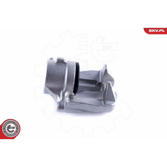 55SKV042 - Brake Caliper 