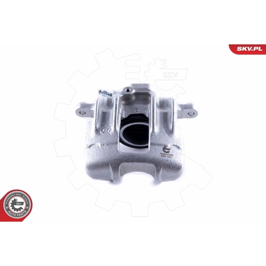 55SKV042 - Brake Caliper 