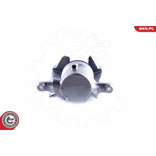 55SKV042 - Brake Caliper 