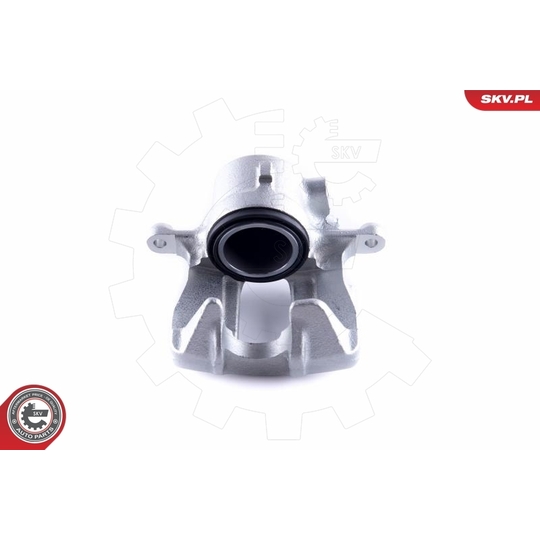 55SKV042 - Brake Caliper 