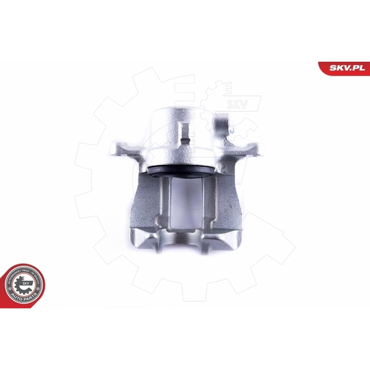 55SKV042 - Brake Caliper 