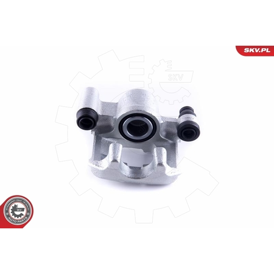 55SKV313 - Brake Caliper 