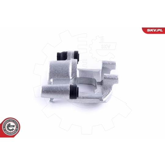 55SKV313 - Brake Caliper 