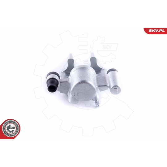 55SKV313 - Brake Caliper 