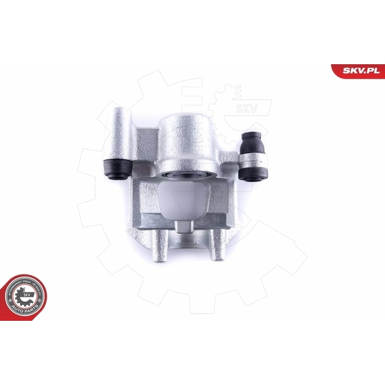 55SKV313 - Brake Caliper 