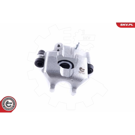 55SKV313 - Brake Caliper 