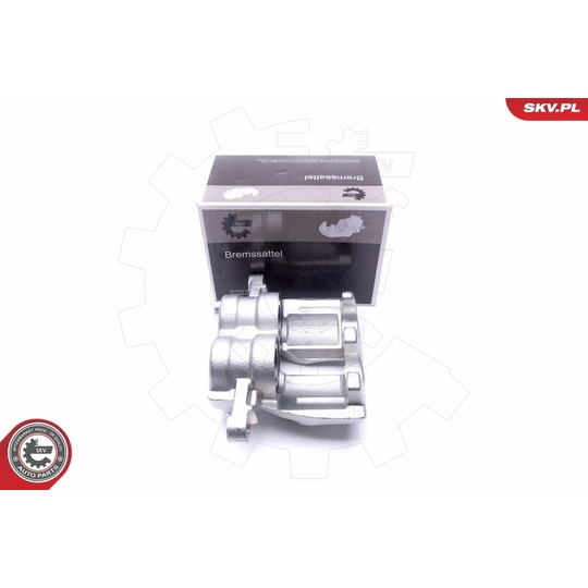 46SKV773 - Brake Caliper 