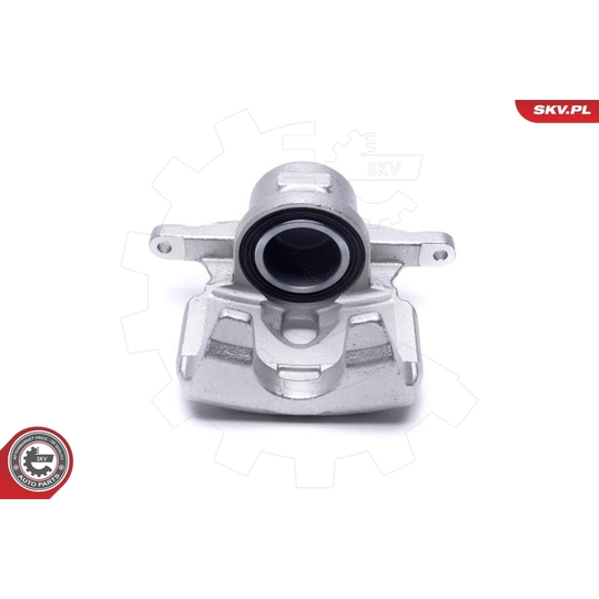 44SKV531 - Brake Caliper 