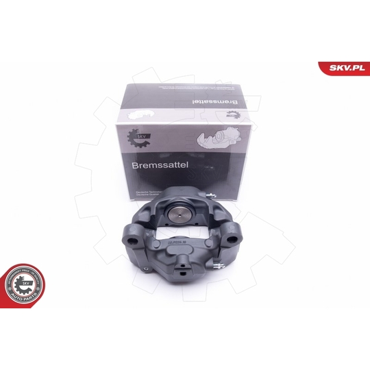 42SKV413 - Brake Caliper 