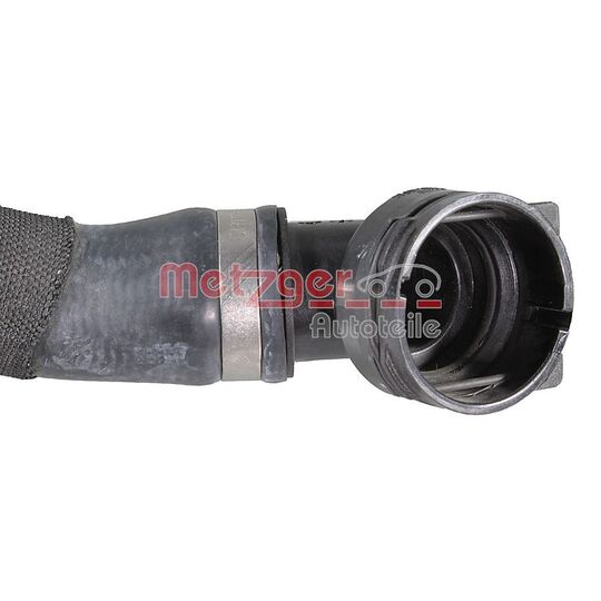 2421647 - Radiator Hose 