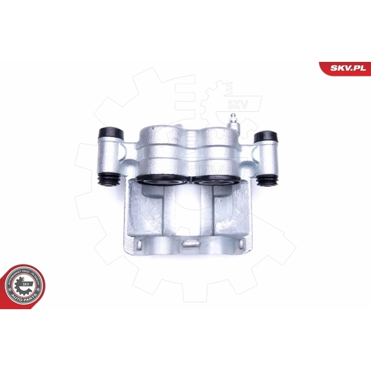 42SKV872 - Brake Caliper 