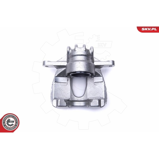 55SKV701 - Brake Caliper 